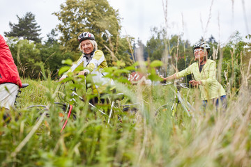 Gruppe Senioren mit dem Fahrrad in der Natur