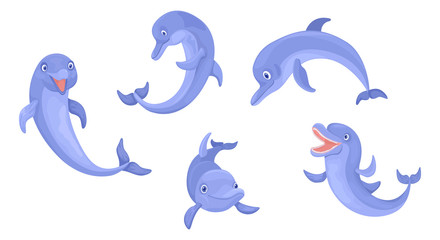 Set of animals dolphins. Vector isolated characters on white background.