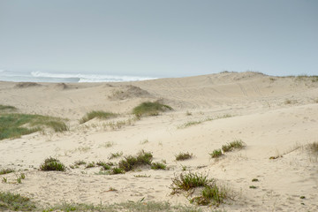 Sand dunes on the beach of Esmoriz