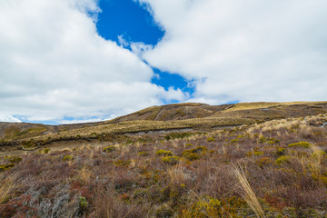 ニュージーランド　トンガリロ国立公園のタマ・レイクス・トラックの風景