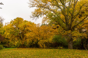 Paths next to Calatanazor dove in Soria