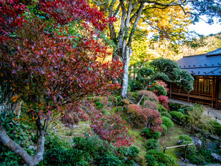 【静岡県伊豆】修禅寺「東海第一園」日本庭園の風景【秋】
