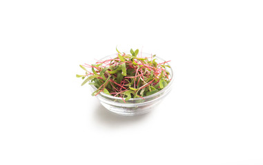 Red microgreens for detox diet isolated on white