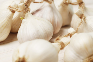 Fresh garlic closeup as background