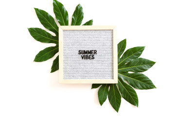Composition with green leaves and letterboard with quote Summer vibes