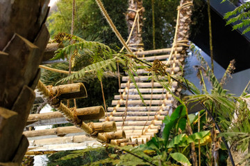 bamboo wooden bridge