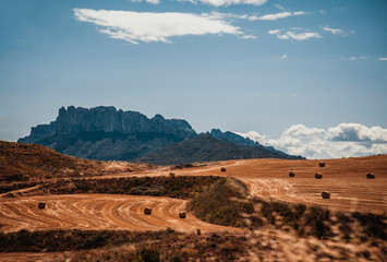 Field in Spain with round straw bales