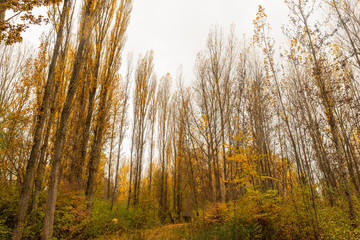 Fototapeta premium Paths next to Calatanazor dove in Soria