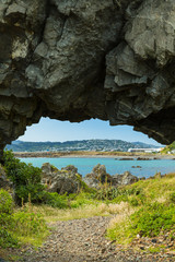 ニュージーランド　ウェリントンのモア・ポイント