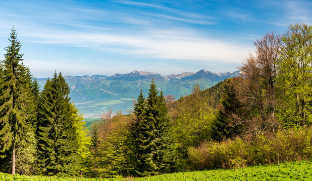 Krivanska Mala Fatra mountain range with highest Velky Krivan hill from Koskarovska luka bellow Klak hill in Velka Fatra mountains in Slovakia