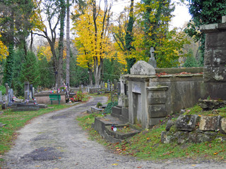 cemetery whit trees