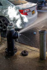 Fire Hydrand releasing water in summer Bronx NY - 310148436