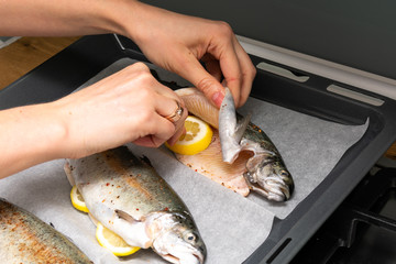 Rainbow trout on the board