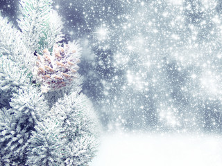 winter background with fir branches cones and snow