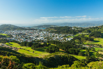 Fototapeta na wymiar ニュージーランド　ウェリントンのタワタワ保護区からの景色