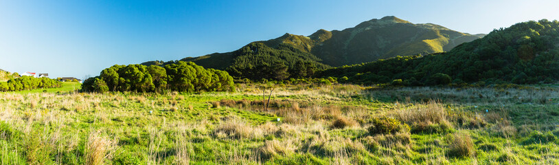 Fototapeta na wymiar ニュージーランド　ウェリントンのタワタワ保護区からの風景