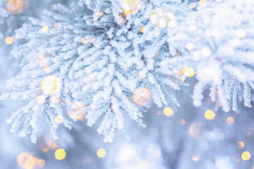 Christmas winter fir tree scenic background. Branches covered with snow in the frost. Falling sparkles and lights bokeh closeup. Soft pastel toned blue, gold and purple. Greeting card background