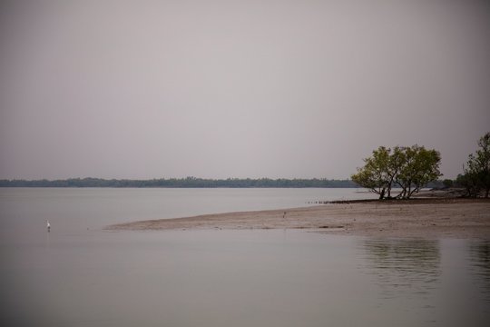 Sundarbans