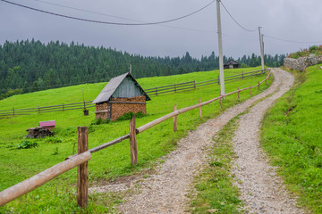 Fototapete bei efototapeten.de bestellen   