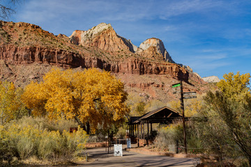 Fototapeta premium Beautiful autumn landscape around Zion National Park