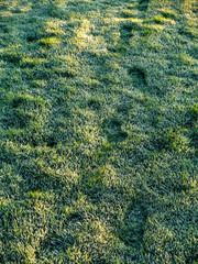 People foot prints on a frozen grass, Concept winter season, outdoor activity.