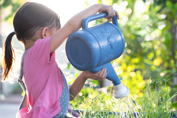 Unidentified little girl is watering her organic vegetable garden with happy moment in the...