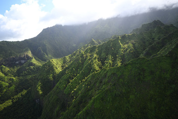 Fototapeta na wymiar Kauai jungle