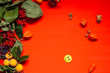 autumn red and yellow leaves fruit nuts fall background