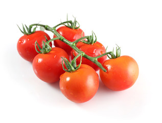 Branch of red ripe tomatoes isolated on white background