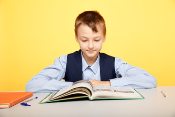 School boy sitting at the desk isolated and studying