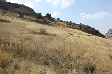 landscape in the mountains