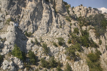 view of grand canyon