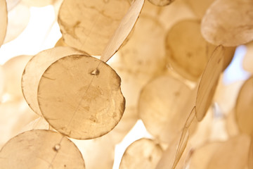 Wall Hanging Texture