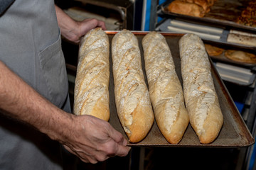 Baker putting bread sticks in the oven in a bakery in Madrid, Spain