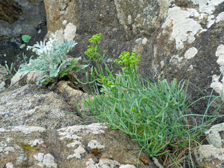 Bretagne, Saint Malo