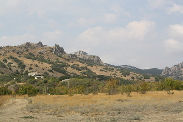 landscape with trees and blue sky