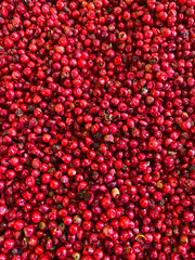 Red berries, top view. Background of wild red berries.