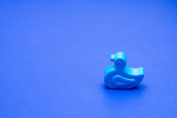 rubber duck, little child toy on blue background, copy space
