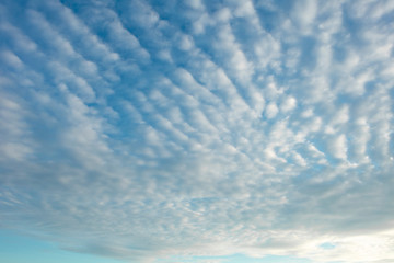Obraz premium Blue sky with white clouds, (Cirrocumulus clouds).