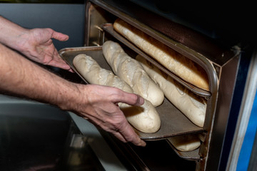 Baker putting bread sticks in the oven in a bakery in Madrid, Spain