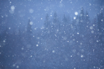 Obraz premium snow fog landscape snowfall / winter landscape cold seasonal weather, nature in winter form, foggy outside