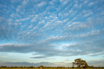 Blue sky with white clouds, (Cirrocumulus clouds).
