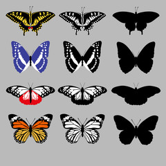 Obraz na płótnie Canvas Collection of colorful and silhouettes butterflies. Isolated vector illustration 