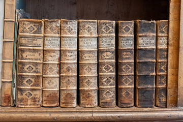 old bookbacks in historic library