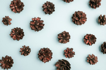 Christmas winter composition. Pine spruce cones on blue background. Top view, flat lay