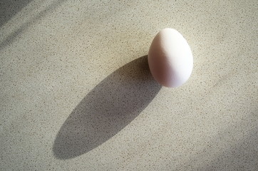 White egg casting shadow on the table
