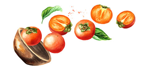 Bowl with ripe persimmons. Hand drawn horizontal watercolor illustration, isolated on white background