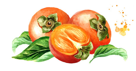 Fresh ripe persimmons with green leaf. Watercolor hand drawn horizontal illustration, isolated on white background