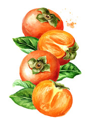 Fresh ripe persimmons with green leaf. Watercolor hand drawn vertical illustration isolated on white background