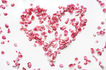 heart rose petals / pink roses, heart-shaped frame petals, love concept